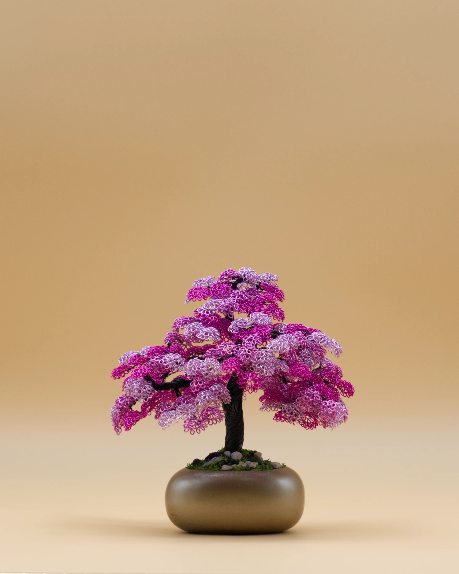Aube Rose