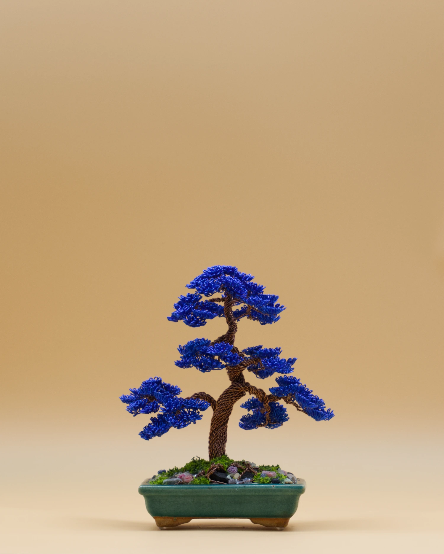 Secret d'Indigo